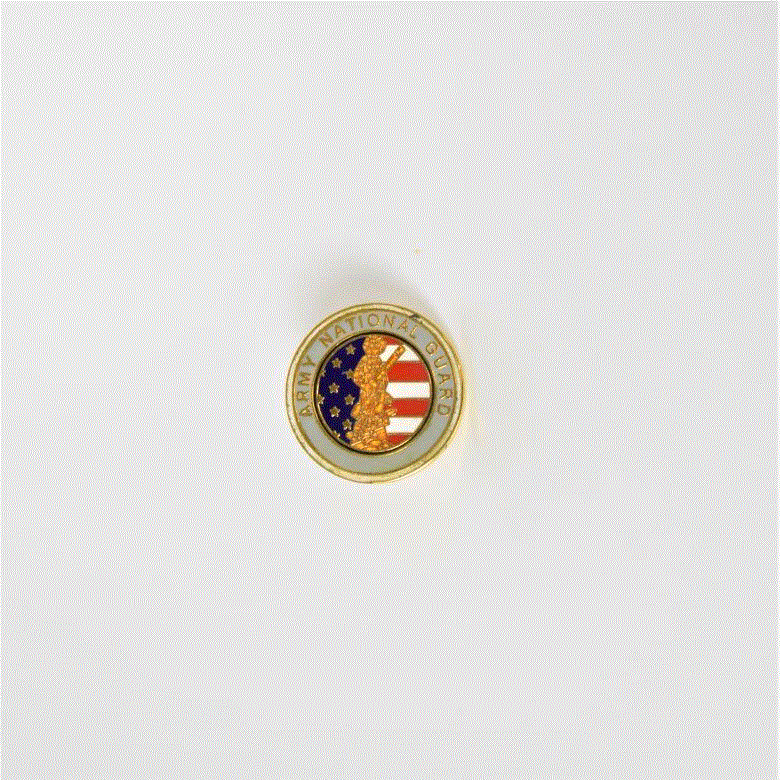 Army National Guard Pin