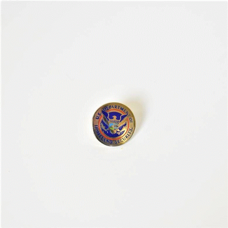 Homeland Security Pin