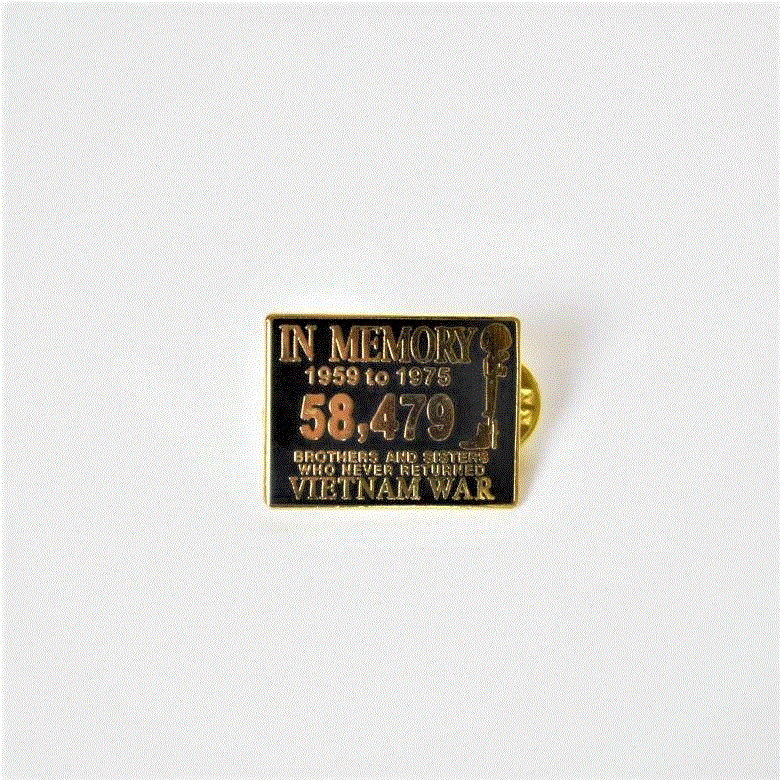 Vietnam War in Memory Pin