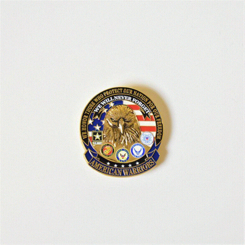  American Warriors Pin