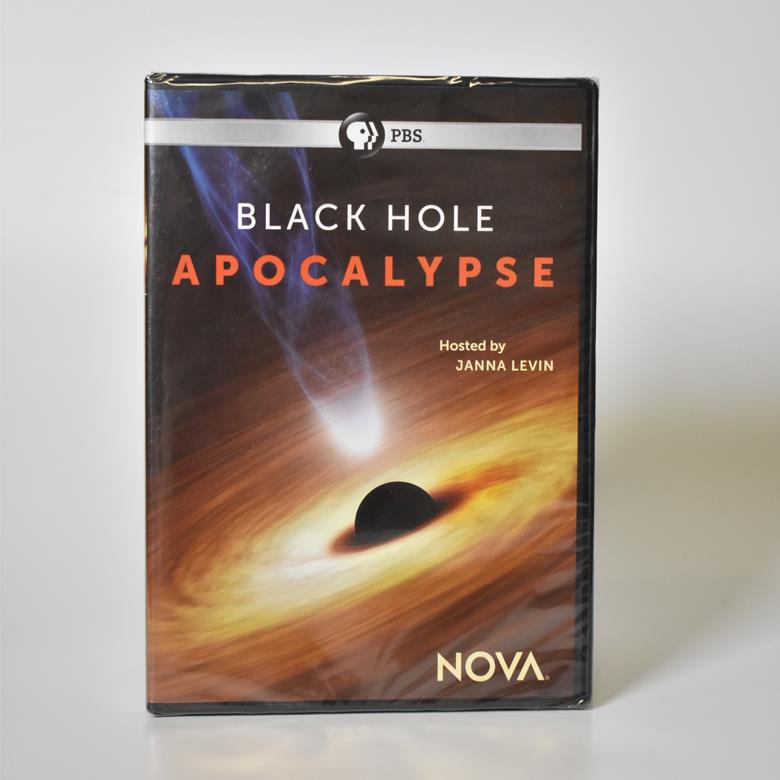 Black Hole Apocalypse