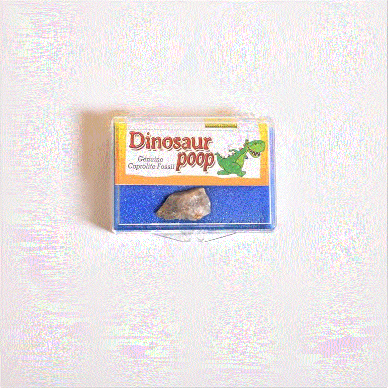 Dinosaur Poop