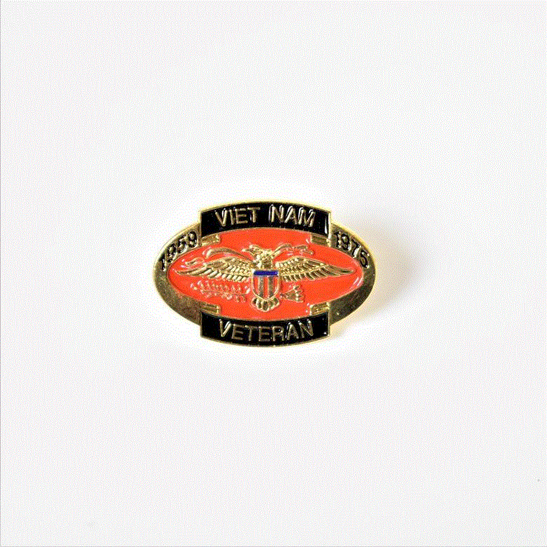 Vietnam Veteran Oval Pin