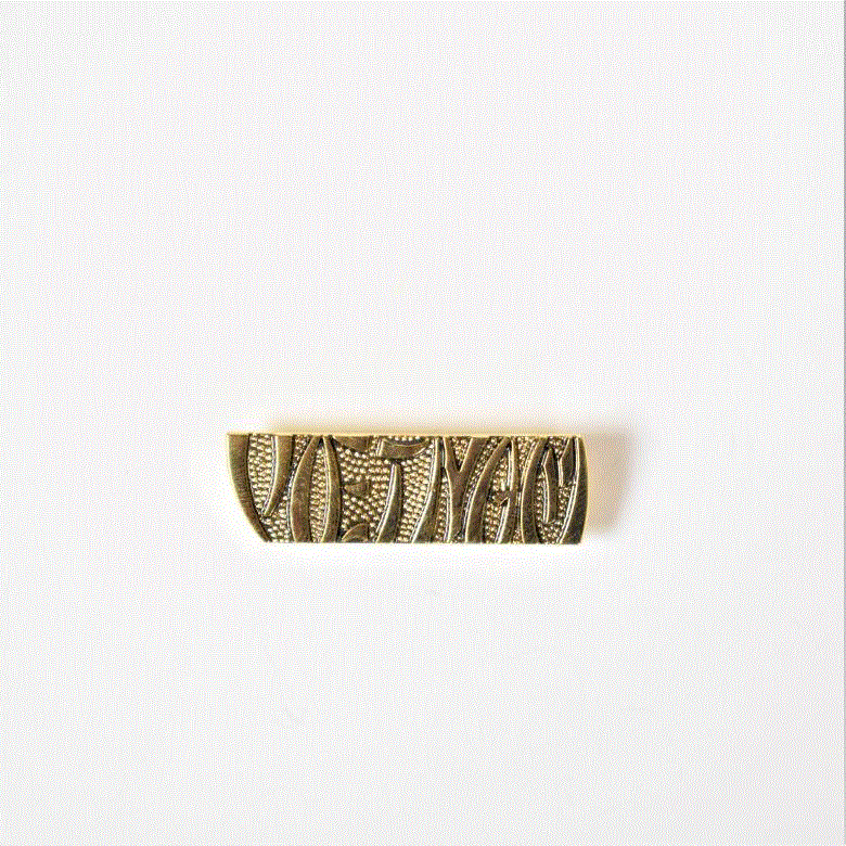 Vietnam Words Pin